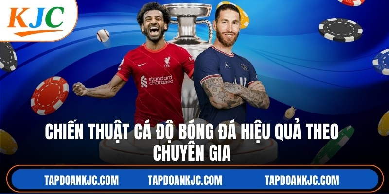 Chiến Thuật Cá Độ Bóng Đá Hiệu Quả Theo Chuyên Gia